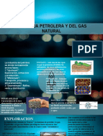 Industria Petrolera y Del Gas Natural