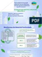 4 - Monitoreos Material Particulado CAA