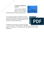 Adaptaciones en El Agua en Animales de La Guajira