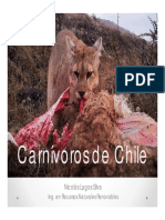 Carnivoros de Chile - Nicolas Lagos - Junio2016