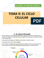 2º Bachillerato Biología TEMA 9 LOMCE