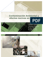 Contaminacin Ambiental y Efectos 2