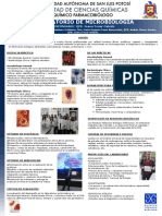 Poster Microbiología 2015