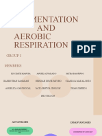 Fermentation and Aerobic Respiration