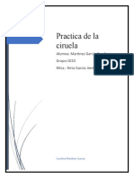 Practica de La Ciruela