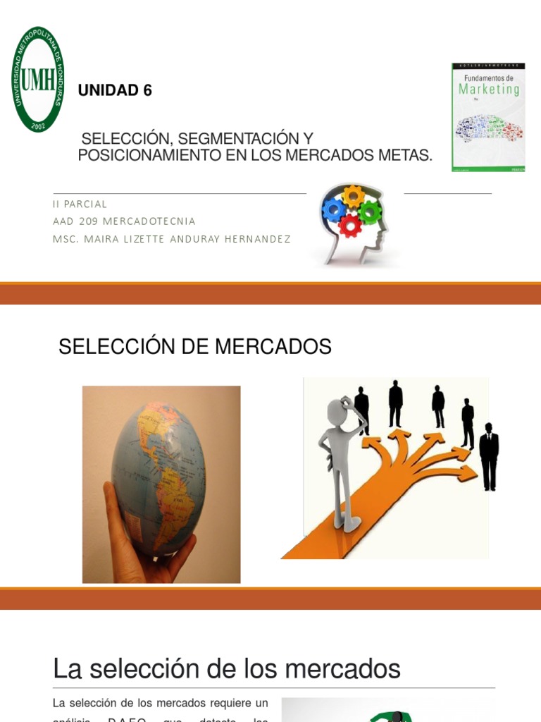 Selección y Segmentación de Mercados | PDF | Comportamiento ...