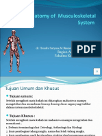 Muskuloskeletal Anatomy