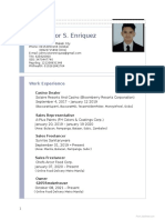 John Victor S. Enriquez: Work Experience