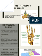 ... Juan Jose Bernal Toalina Biologia