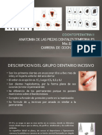 Odontop 2 Tema2natomia de Las Piezas Dentales Temporales