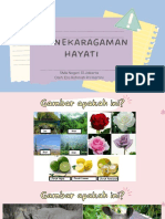 Persebaran Keanekaragaman Hayati