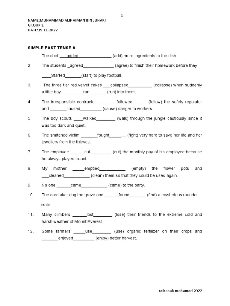 Simple Past Tense Exercises | PDF