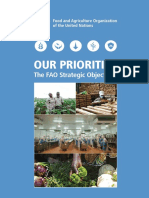 Our Priorities: The FAO Strategic Objectives