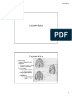 Caja Torácica