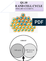 Q1.10 Cancer and Cell Cycle