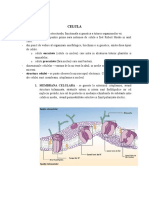 Anatomie Curs 1