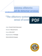 El Sistema Olfatorio y Su Capacidad para Detectar Aromas