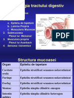 Structura Generala Tract Digestiv