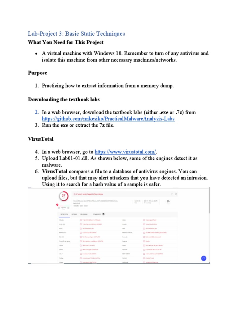 LabProj03 Basic Static Techniques PDF