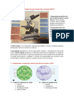 Constituintes do Microscópio Ótico