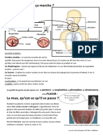 La Voix Physiologie