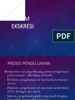 Sistem Ekskresi - 2