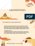 Ergosistema