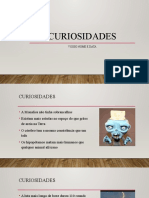 Ficha de Exercícios 1 - Curiosidades