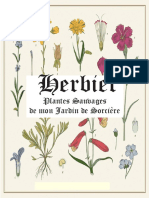 Herbier-Plantes-sauvages Illustré