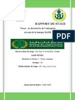 Rapport de Stage Badr