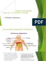 Procedimentos Radiológicos Dos Sistemas Digestório