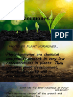 Phyto Hormones