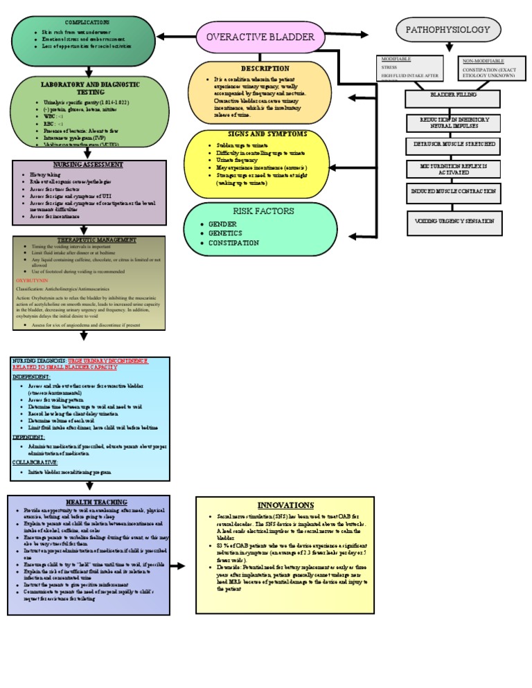 Overactive Bladder: Causes & Management | PDF | Urinary Incontinence ...