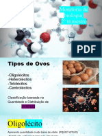 Tipos de Ovos e Segmentação Embrionária
