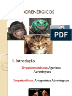 Agonistas ADRENÉRGICOS 2015