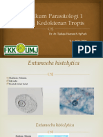 2022-2023 Praktikum Parasitologi 1 Sistem Kedokteran Tropis
