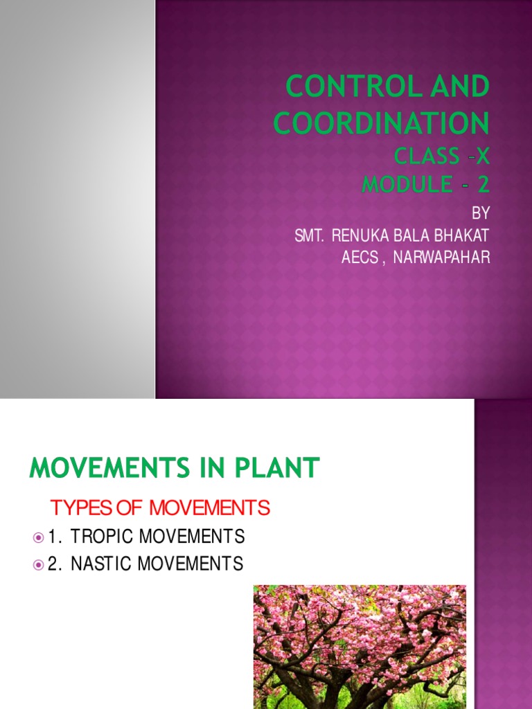 Control and Coordination in Plants | PDF | Plant Hormone | Biology