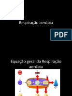 Fermentaçao e Respiraçao