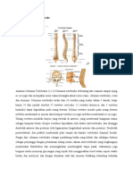 Anatomi Columna Vertebralis Dan Jaras