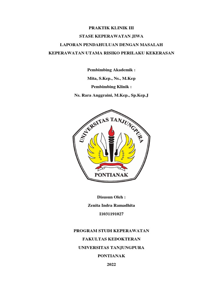 Risiko Perilaku Kekerasan dalam Keperawatan Jiwa | PDF | Karier ...