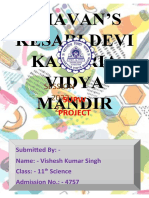 Vishesh Second Project