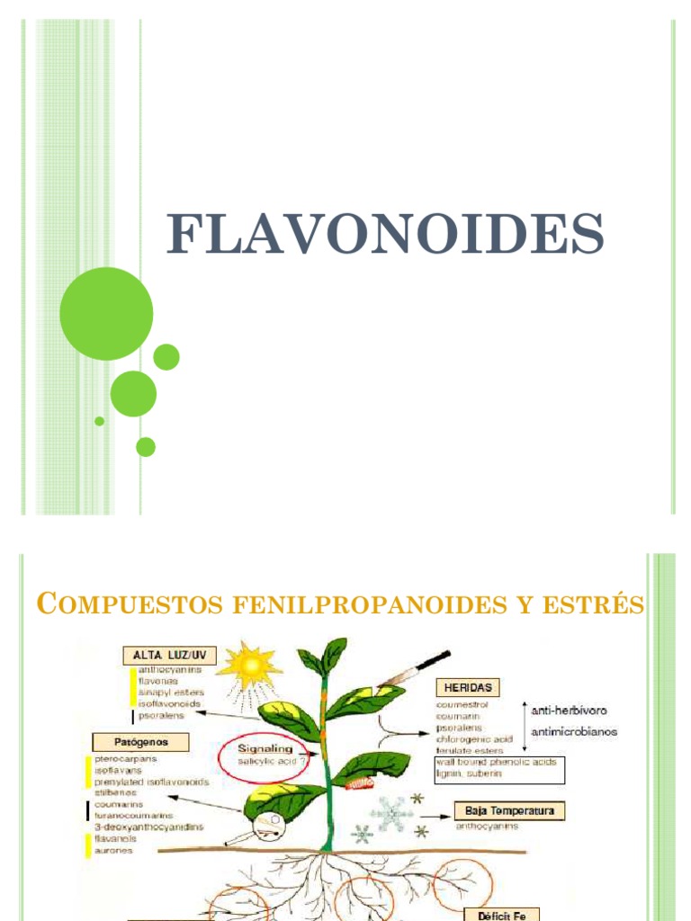 QPN Flavonoides Flavonoide Solubilidad