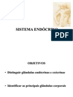 Aula Anatomia 9