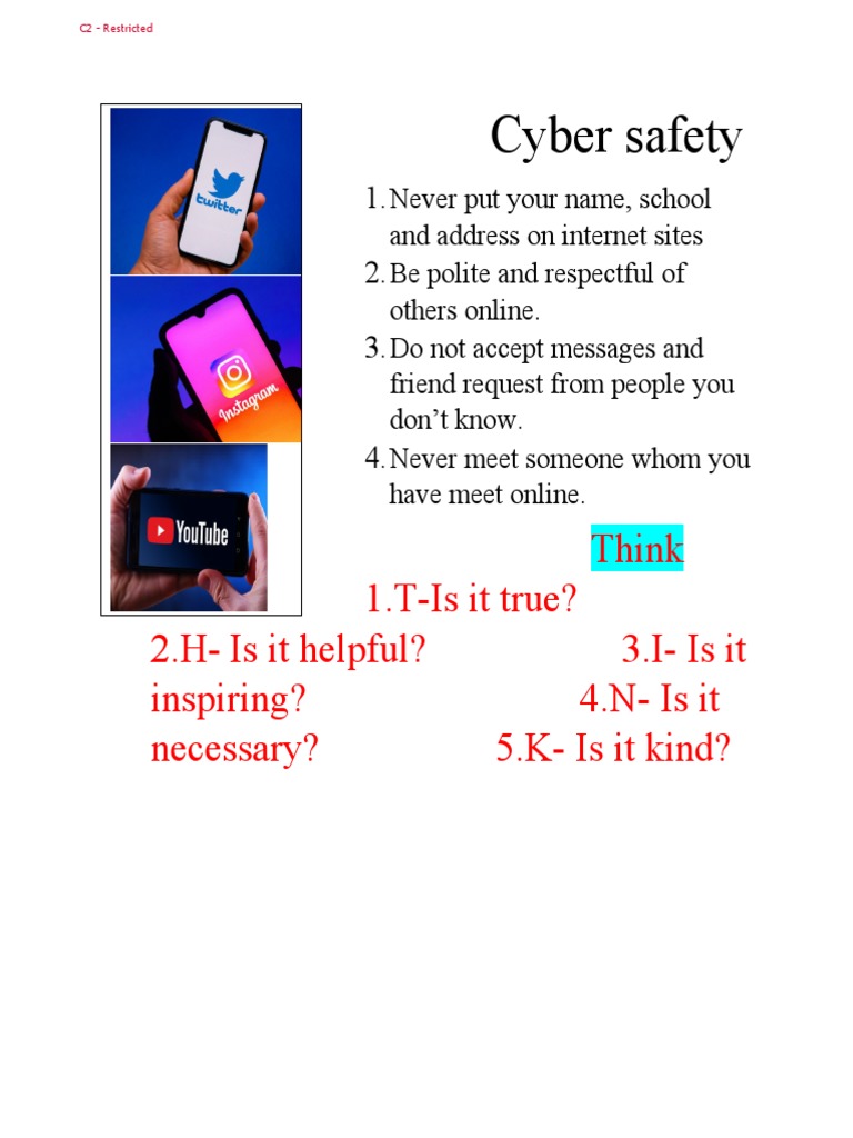 Cyber Safety | PDF