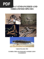Florida Threatened Endangered Species