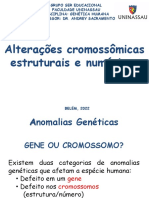 Anomalias_Genéticas_2022.2