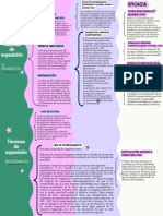 Cuadro Sinóptico Técnicas de Exposición - La Inundación