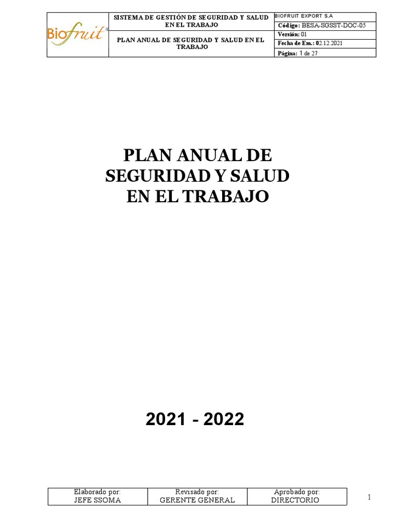 Plan Anual de Seguridad y Salud en El Trabajo | PDF | Seguridad y salud ...