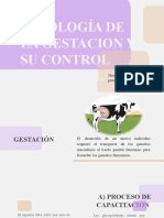 Fisiología de la gestación y su control hormonal