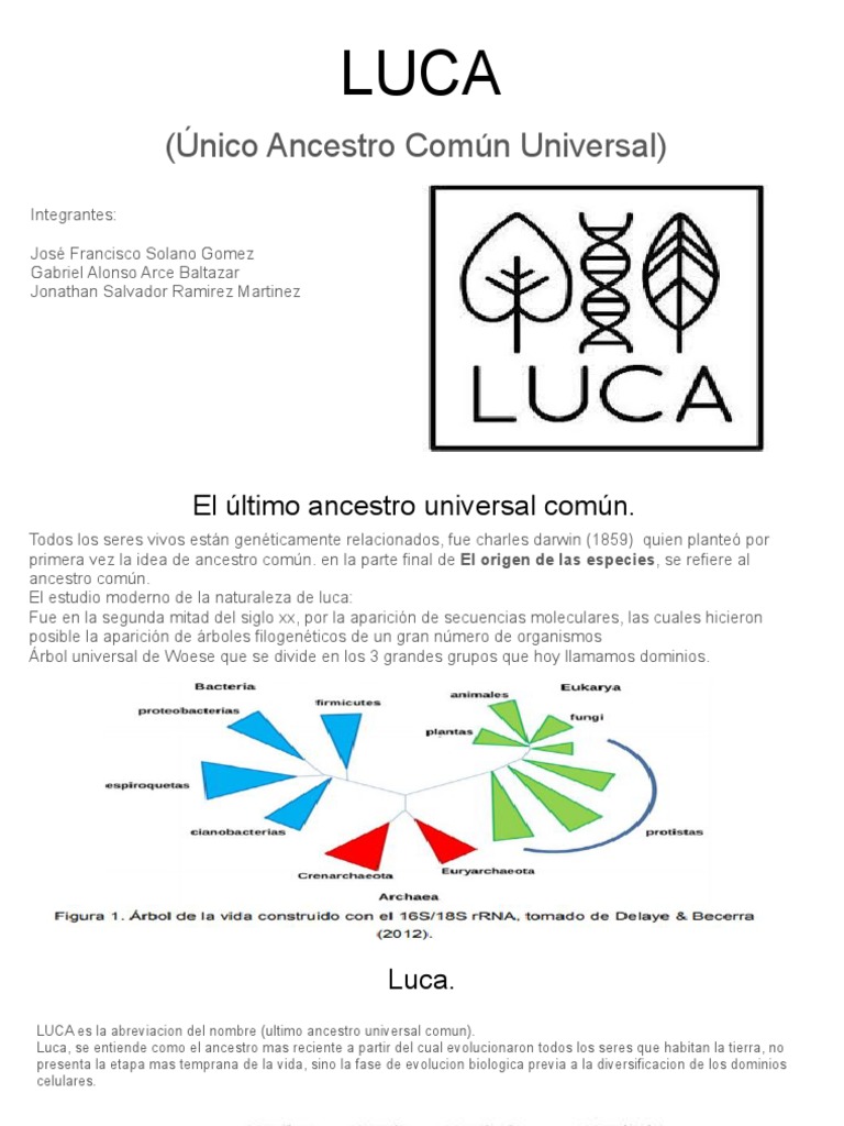 LUCA: El Último Ancestro Común | PDF | Organismos | Archaea